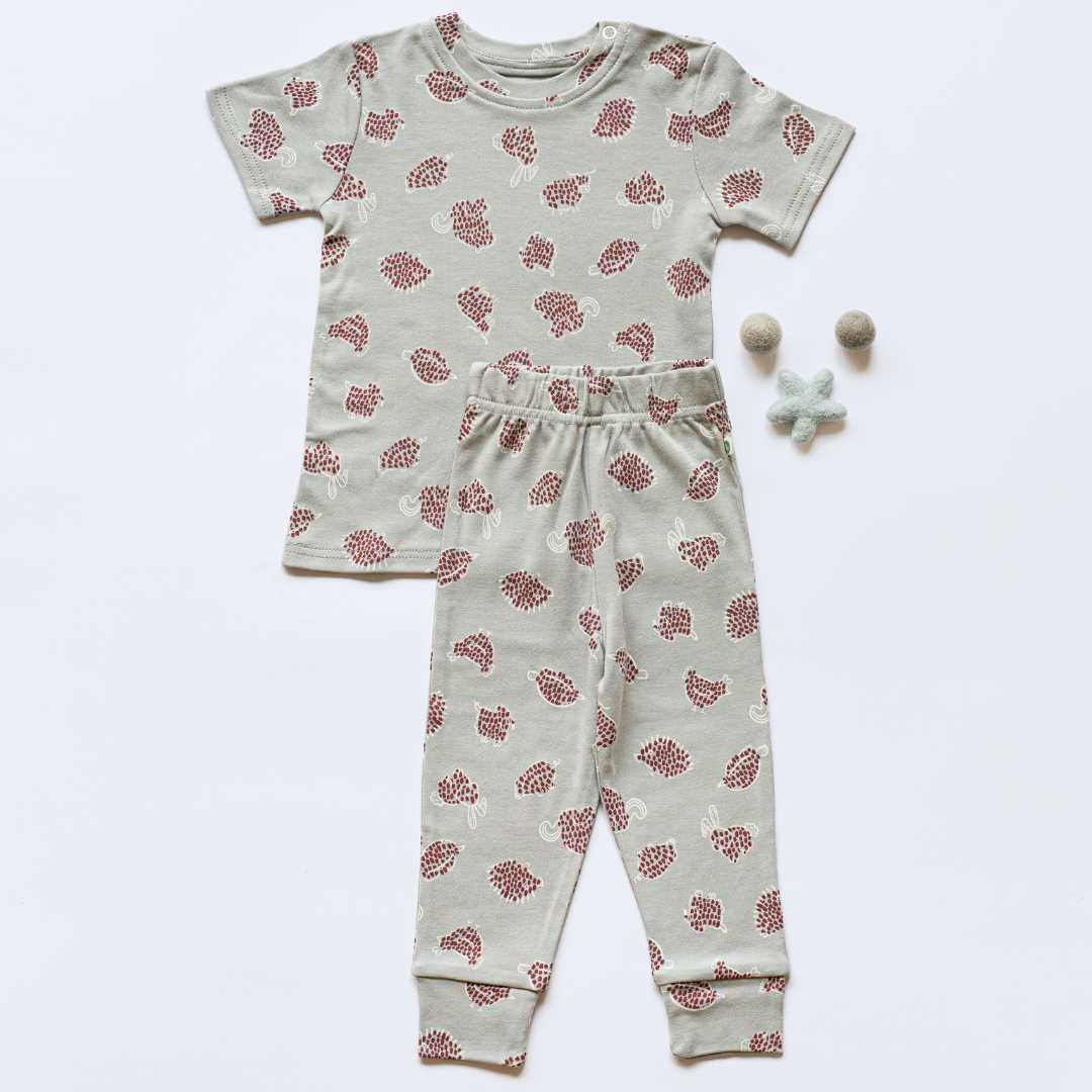 Bamboo short sleeve pajama co-ord set