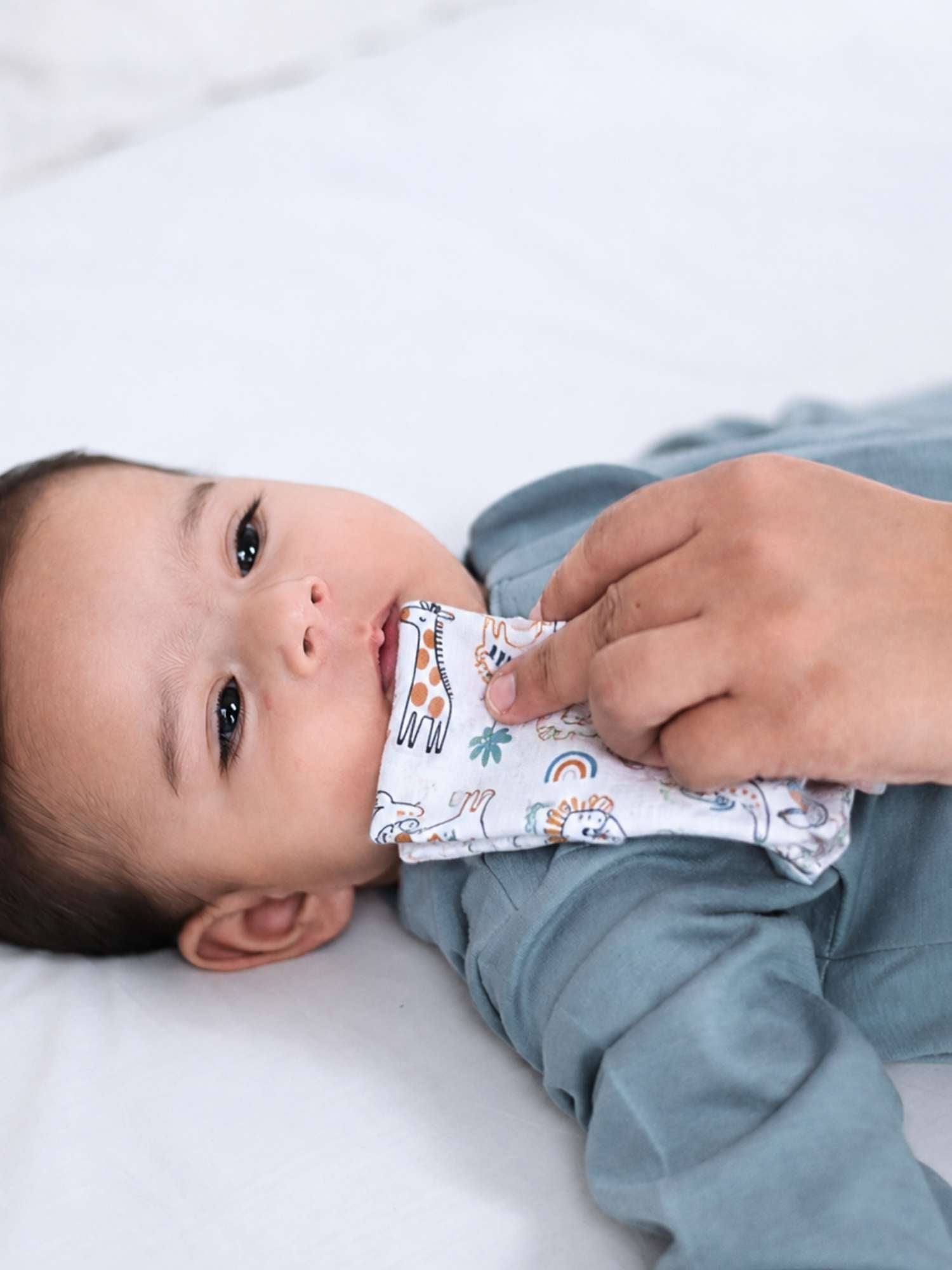 bamboo muslin wash cloth pack of 6